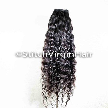 Burmese Curly
